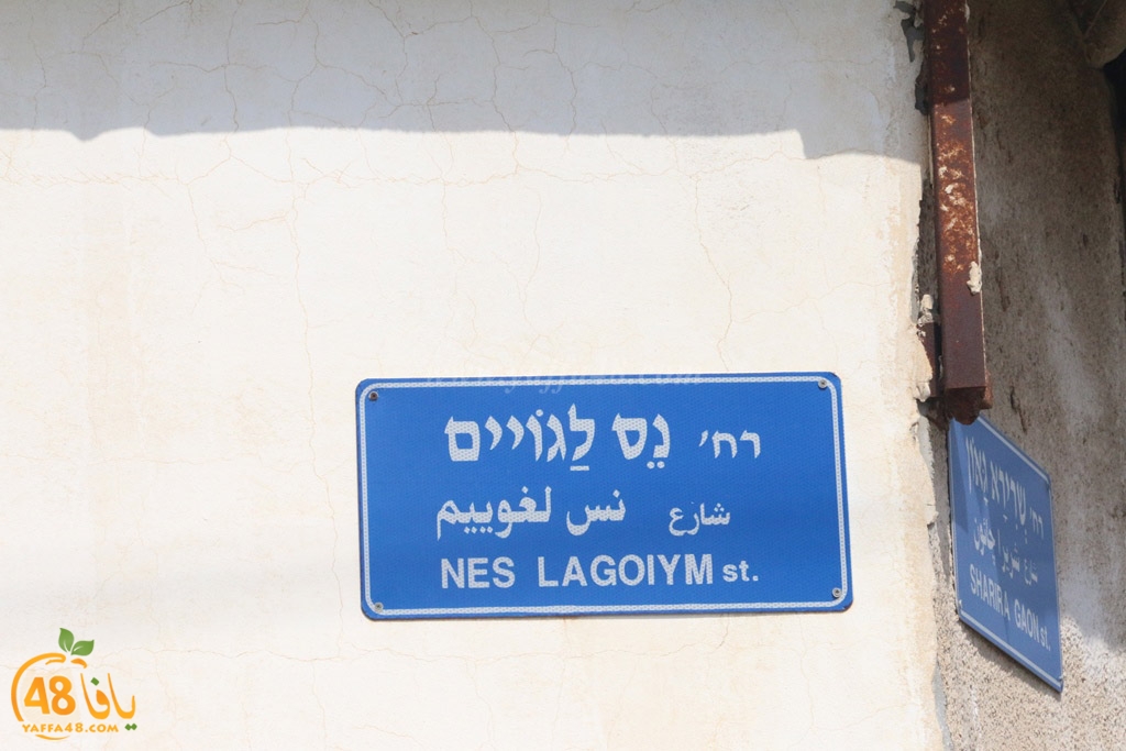 streetesasqq (20).jpg.jpg